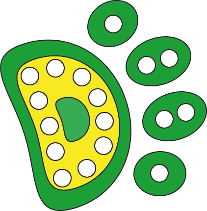 Dotimals Logo