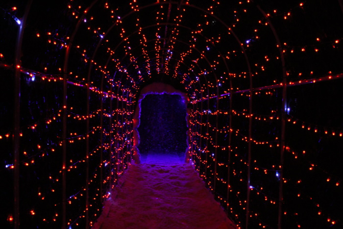 Custom Snow Tunnel Exhibit at private client's event, 2019